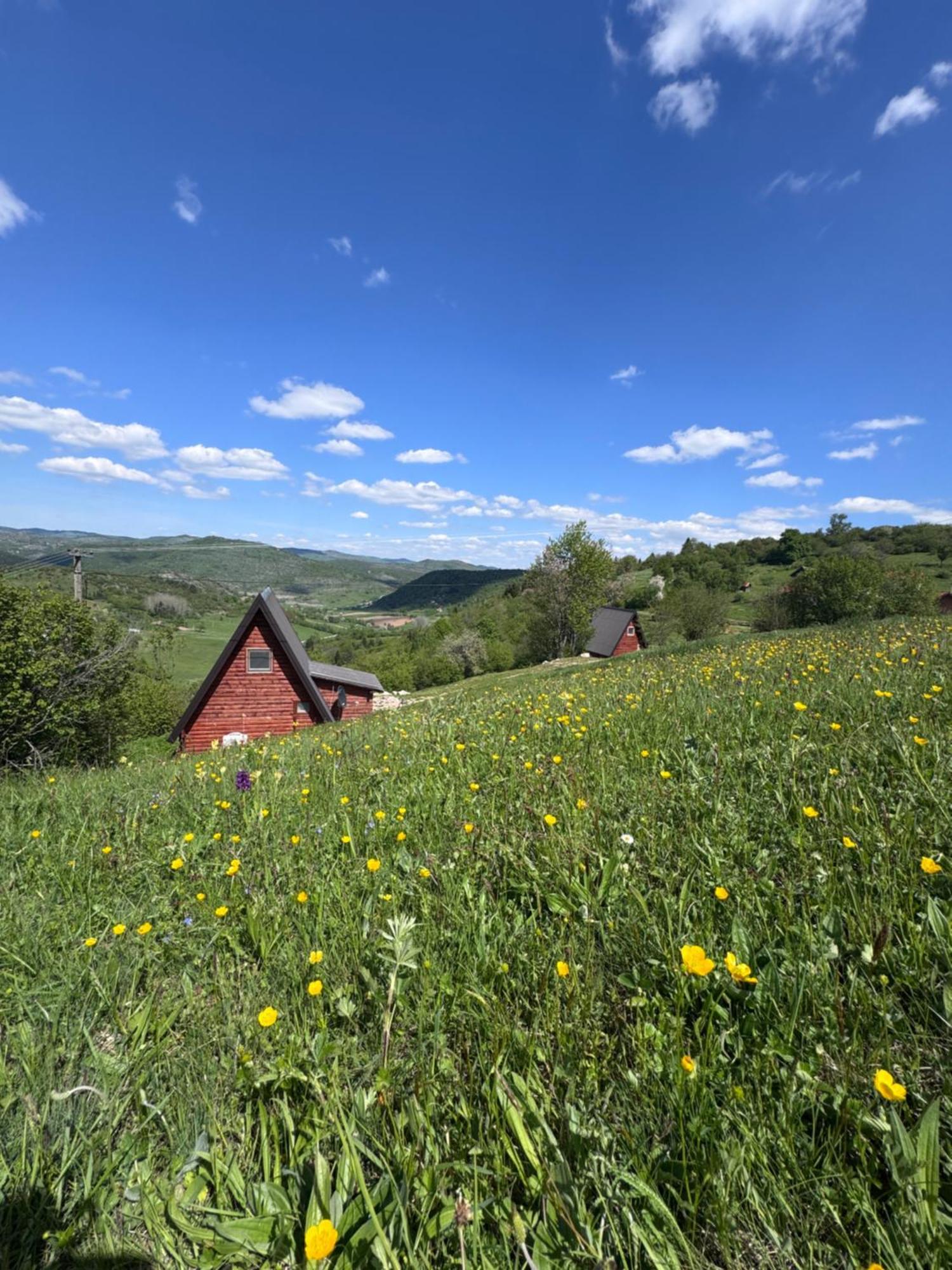 Uvacki Raj Villa Radijevici Bagian luar foto