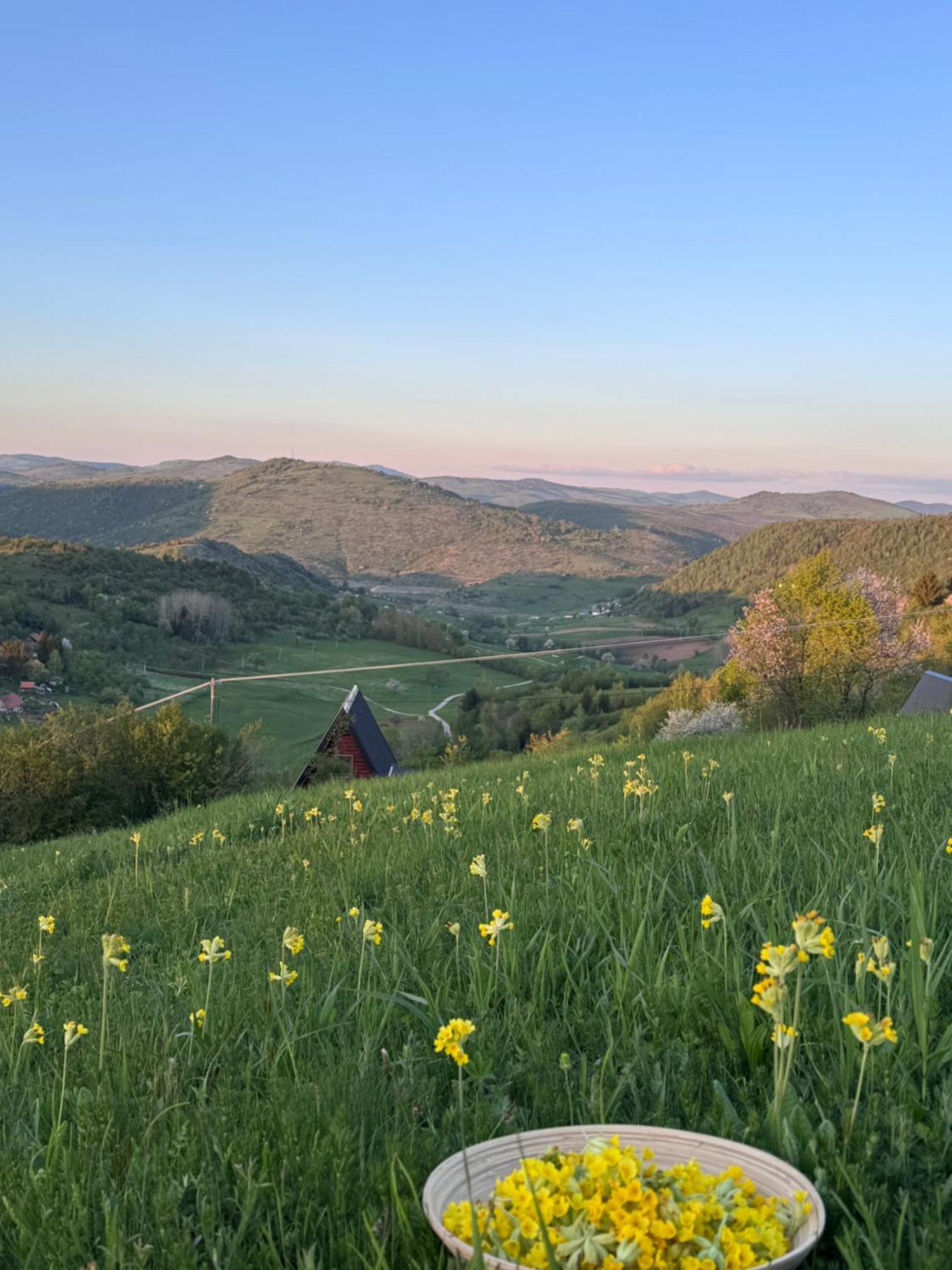Uvacki Raj Villa Radijevici Bagian luar foto